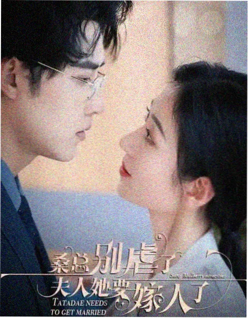 雾港迷雾 电视剧在线看封面